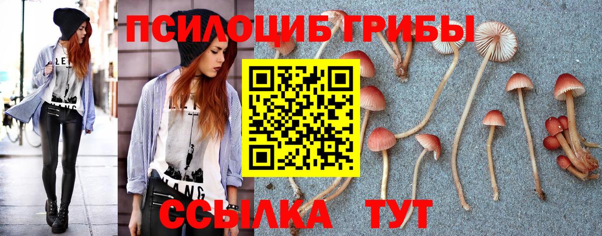 Псилоцибиновые грибы прущие грибы Кострома